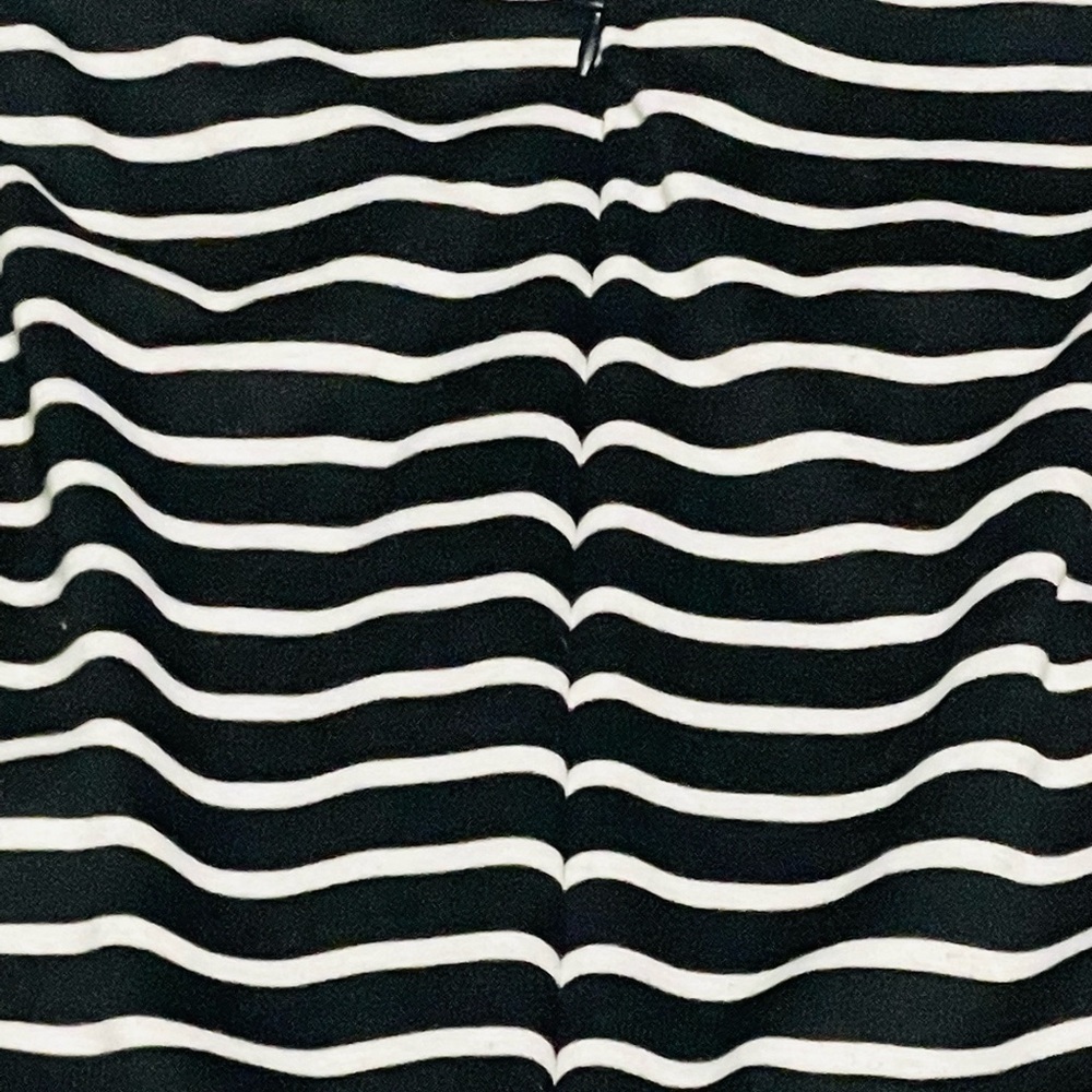Alya Striped Black and White Dress w/red accent flowers - Picture 11 of 12